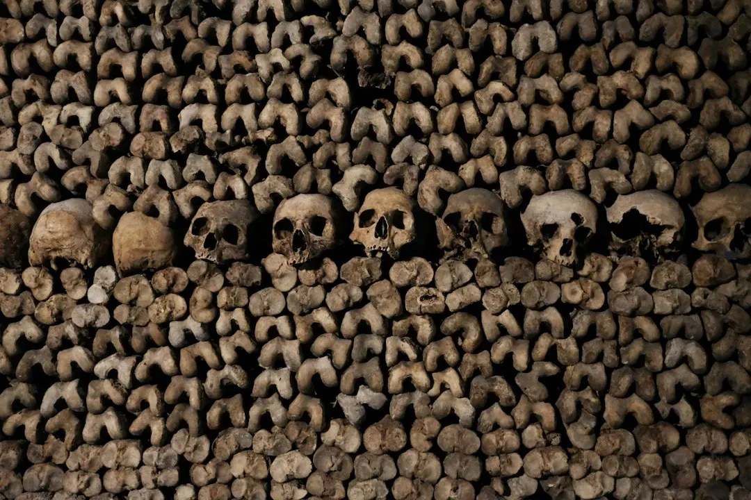 #3 The “Wall of Skulls” at Çatalhöyük: The House as a Tomb (Image Credits: Unsplash)