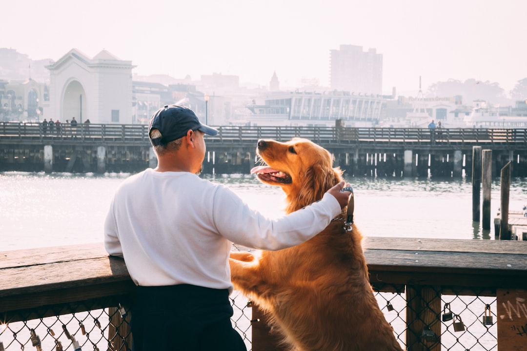The Neurobiological Basis of Emotional Connection (Image Credits: Unsplash)
