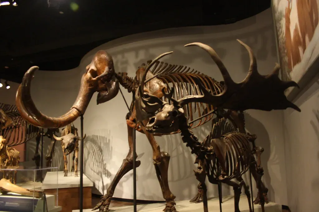 Conclusion: What These Eight Animals Teach You About Life Itself (andrew_j_w, Flickr, CC BY-SA 2.0)