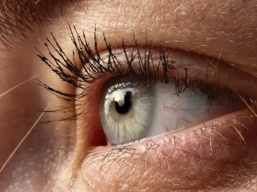 Your Senses Are Not Windows. They Are Translators. (Image Credits: Pexels)