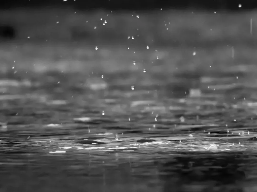 #12 - The Race Against Rain: Why Timing Is Everything (Image Credits: Unsplash)