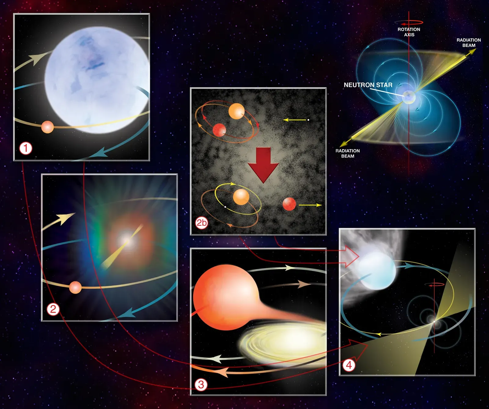 1. Pulsars: The “Little Green Men” That Turned Out To Be Dead Stars (By B. Saxton, NRAO/AUI/NSF, CC BY 4.0)