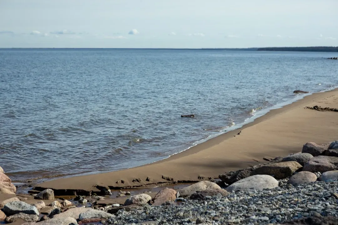 What Real Protection Looks Like: Policy, Parks, and Personal Choices (Image Credits: Unsplash)