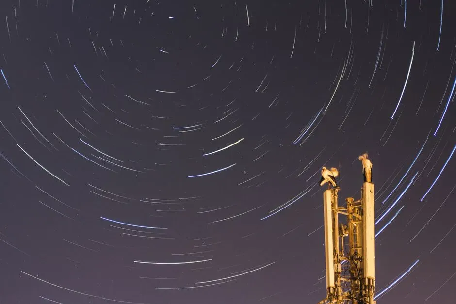 Conclusion: The Universe Owes Us No Simplicity (Image Credits: Pexels)