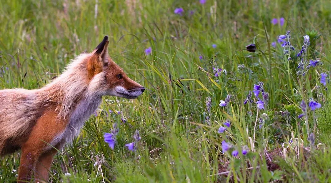 #12 The Number of Species on Earth: Counting the Unknown (Image Credits: Unsplash)