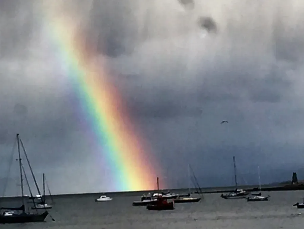 Fire Rainbows: Iridescent Flames Across the Sky (Image Credits: Flickr)