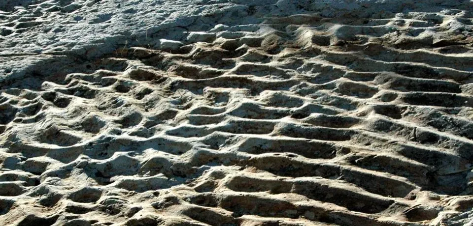 #7 - The "Frozen Waves" Marching Across Flat Plains (Interference ripples (Dakota Sandstone, Lower Cretaceous; Dinosaur Ridge, Colorado, USA), CC BY 2.0)