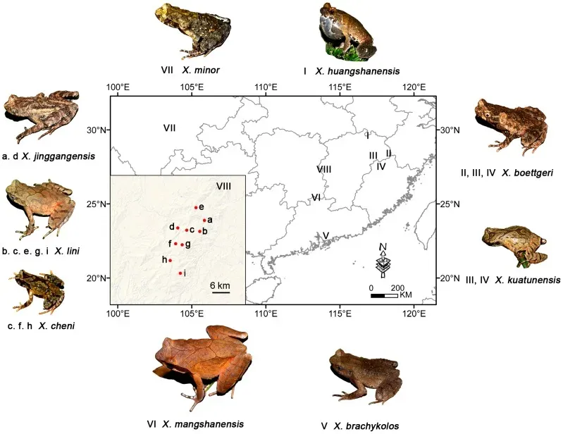 Acoustic Monitoring That Hears What Humans Miss (Image Credits: Wikimedia)