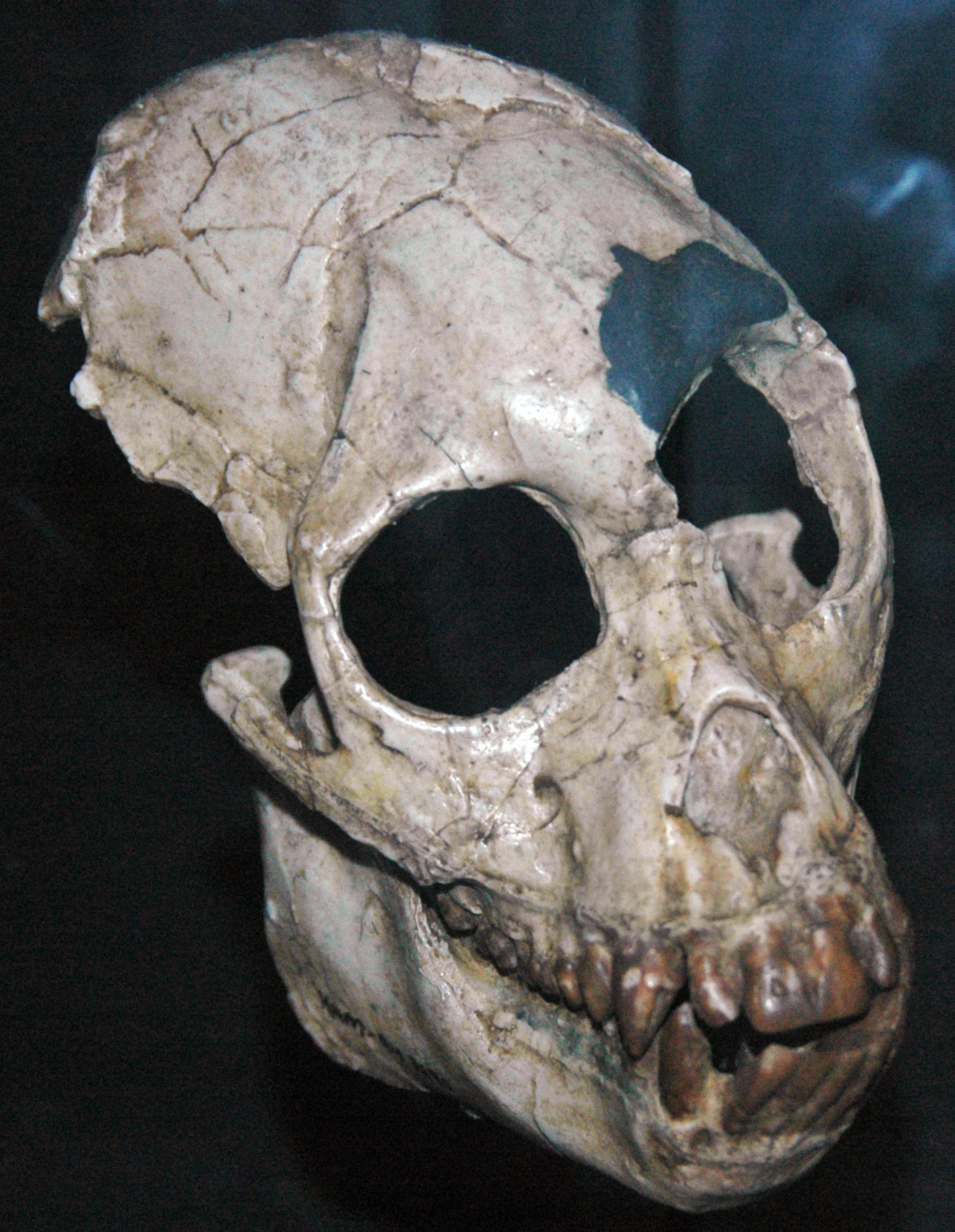 Call to Action (Image Credits: Wikimedia)