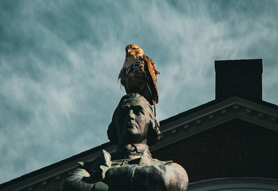 Boston, Massachusetts (Image Credits: Unsplash)