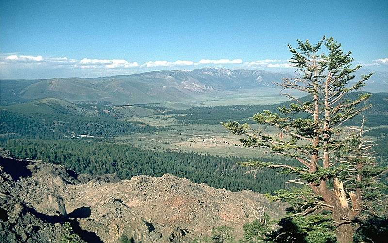 A Restless Basin of Gas and Heat: Long Valley Caldera, California (Image Credits: Wikimedia)