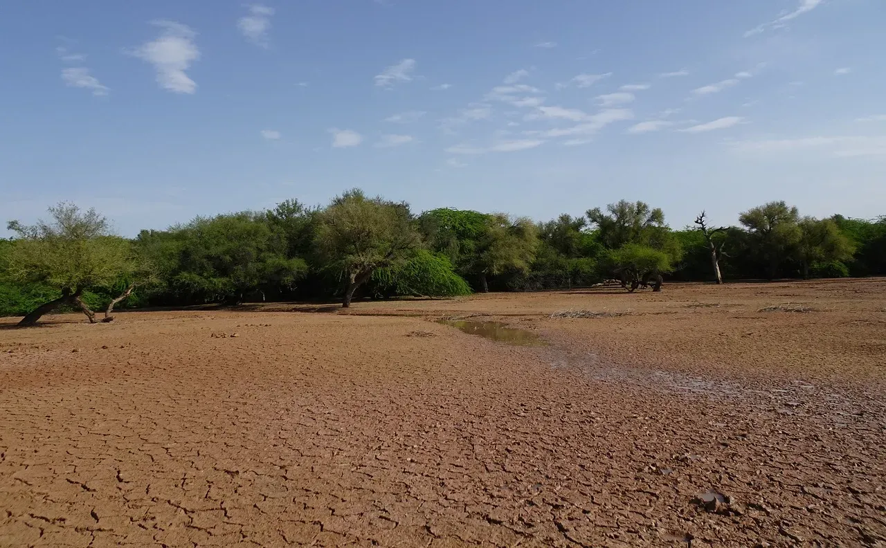 3. Other Dry Lakebeds of the American Southwest – Scattered, Subtle, and Understudied (Image Credits: Pixabay)