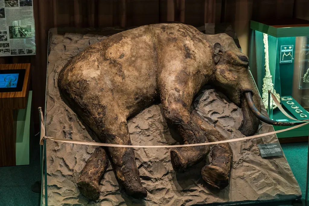 #4 Extinct and Ancient Animals Emerging from the Permafrost (Ninara, Flickr, CC BY 2.0)