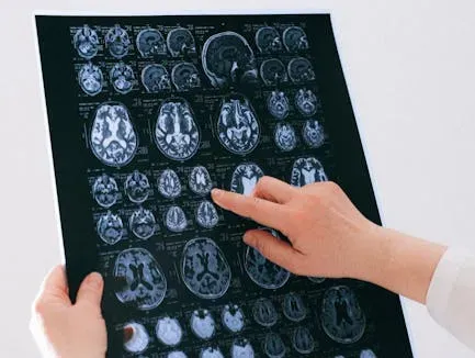 The Shocking Experiments That Seemed To Kill Free Will (Image Credits: Pexels)