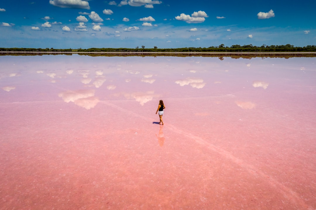 The Global Pink Lake Network (Image Credits: Unsplash)