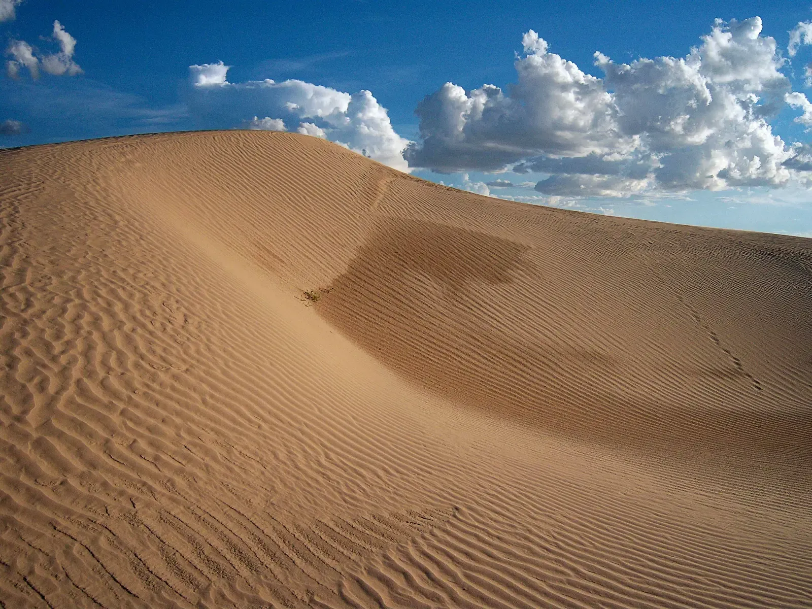 Climate Shifts, Ancient Winds, And Fossilized Dune Fields (Image Credits: Wikimedia)