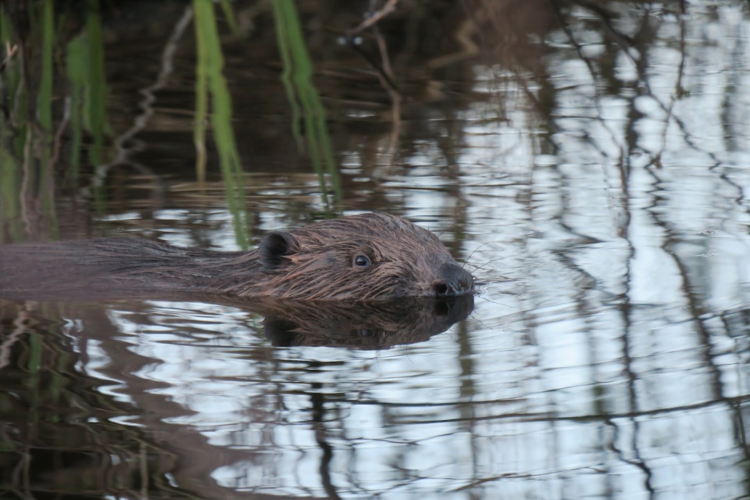 Why It Matters (Image Credits: Unsplash)