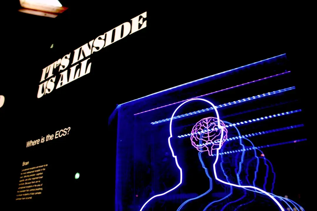 The Future: Toward Brain-Computer Interfaces for the “Silent” Conscious (Image Credits: Unsplash)