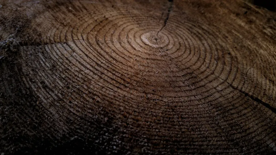 #3 - Individual Hurricanes, Fingerprinted Decades Later (Image Credits: Unsplash)