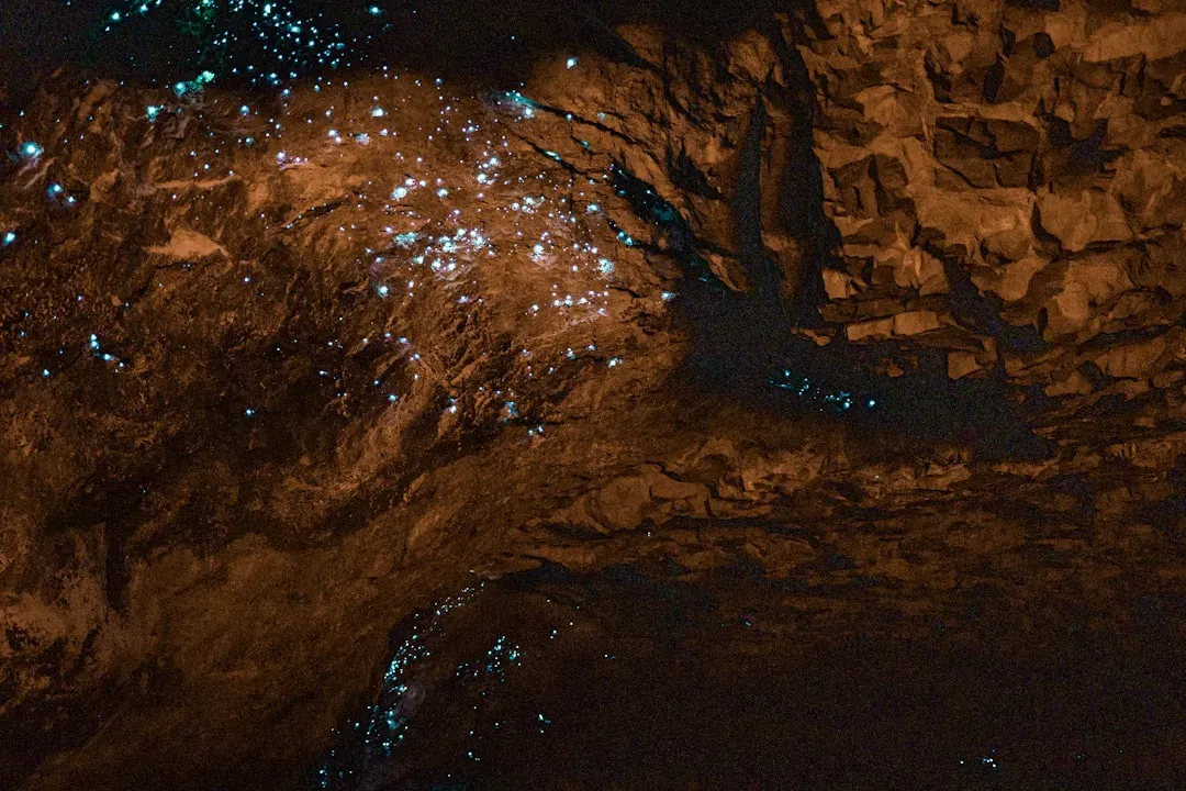 6. Waitomo Glowworm Caves, New Zealand – A Galaxy On The Ceiling (Image Credits: Unsplash)