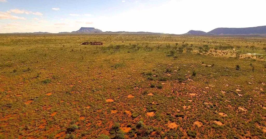 Namibian and Australian Fairy Circles: Polka Dots in the Desert (fiona.walsh2015, Flickr, CC BY 2.0)