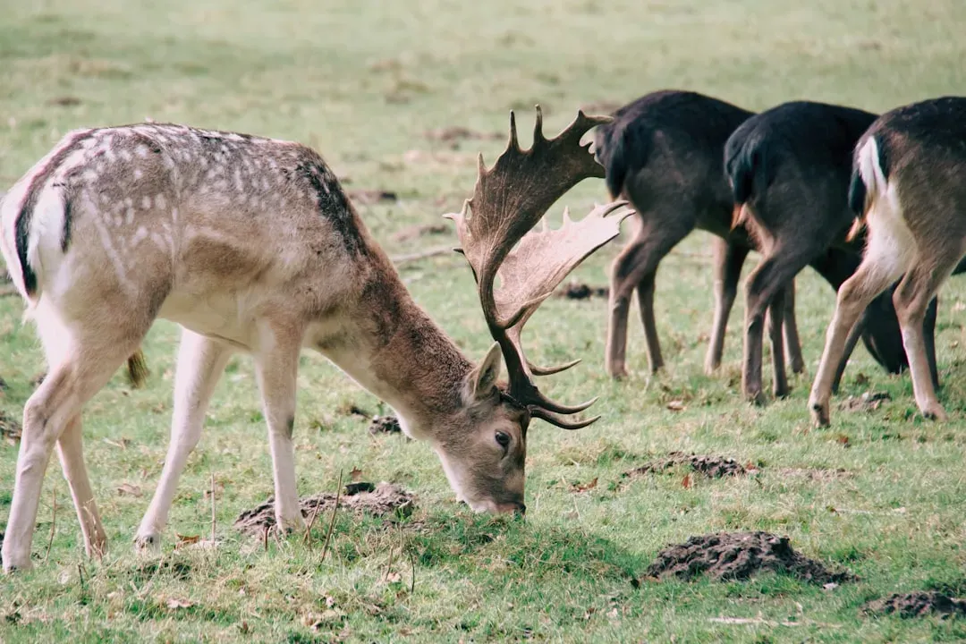 What This Mystery Reveals About Our Place in Nature (Image Credits: Unsplash)
