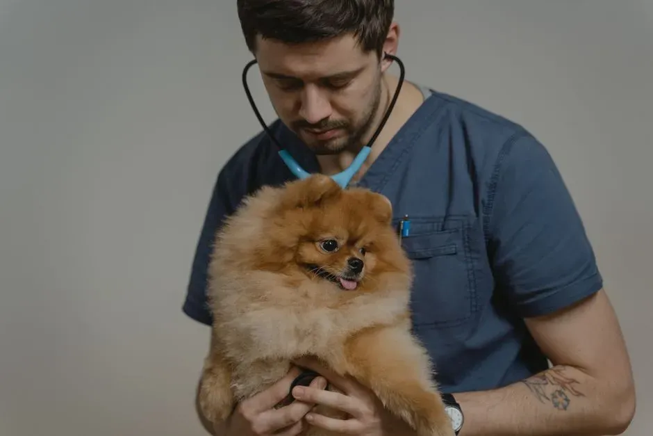 When Grief Becomes Dangerous: Knowing When to Call the Vet (Image Credits: Pexels)