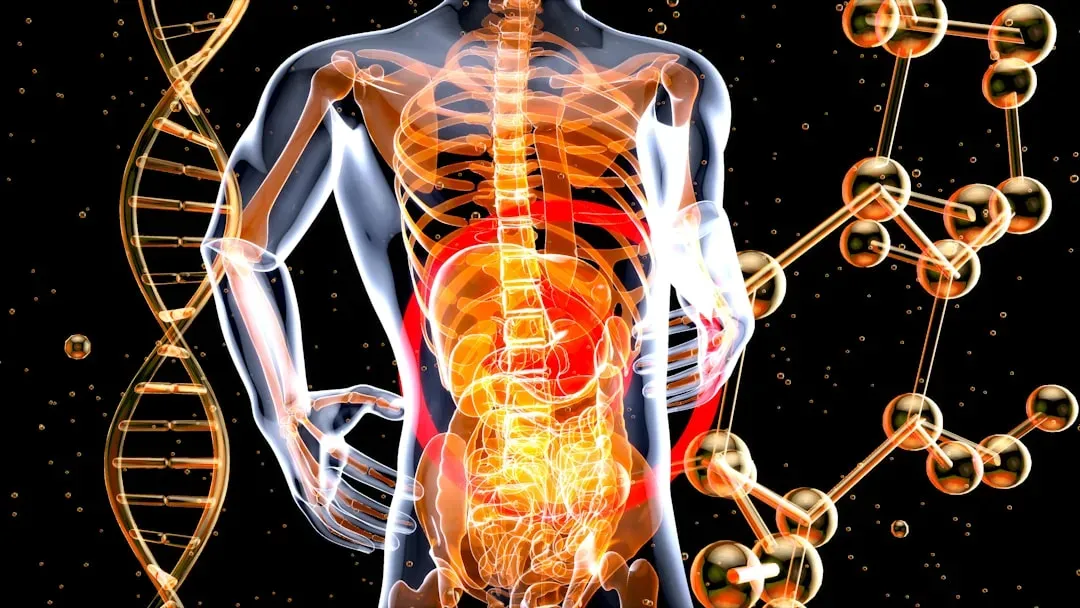 Conclusion: Your Body Is Tougher and Smarter Than You Think (Image Credits: Unsplash)