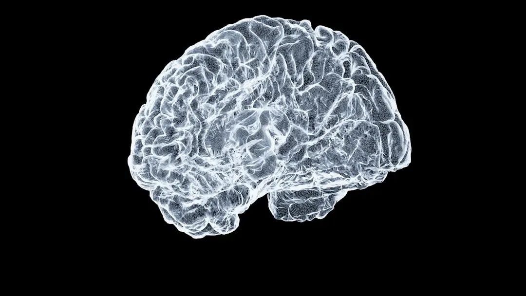 The Social Brain Is a Mind-Detector, Not a Cold Calculator (Image Credits: Unsplash)