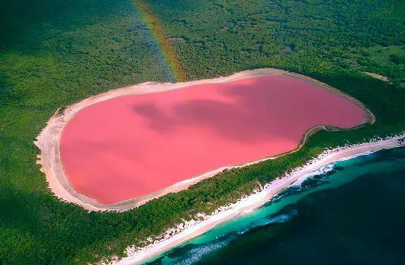 Lake Hillier: The Inexplicably Pink Waters (Image Credits: Wikimedia)
