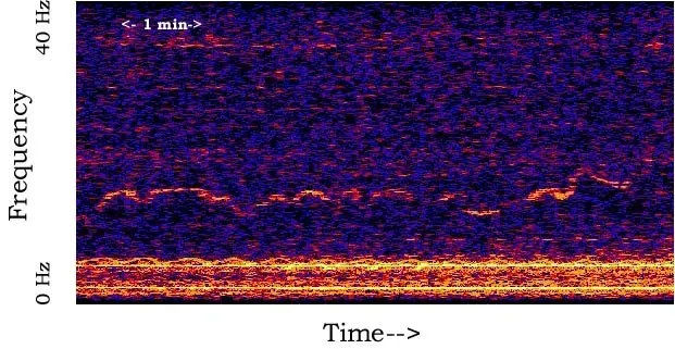 13. The Whistle: A Perfect Signal With No Owner (By NOAA.Surajt88 at English Wikipedia, Public domain)