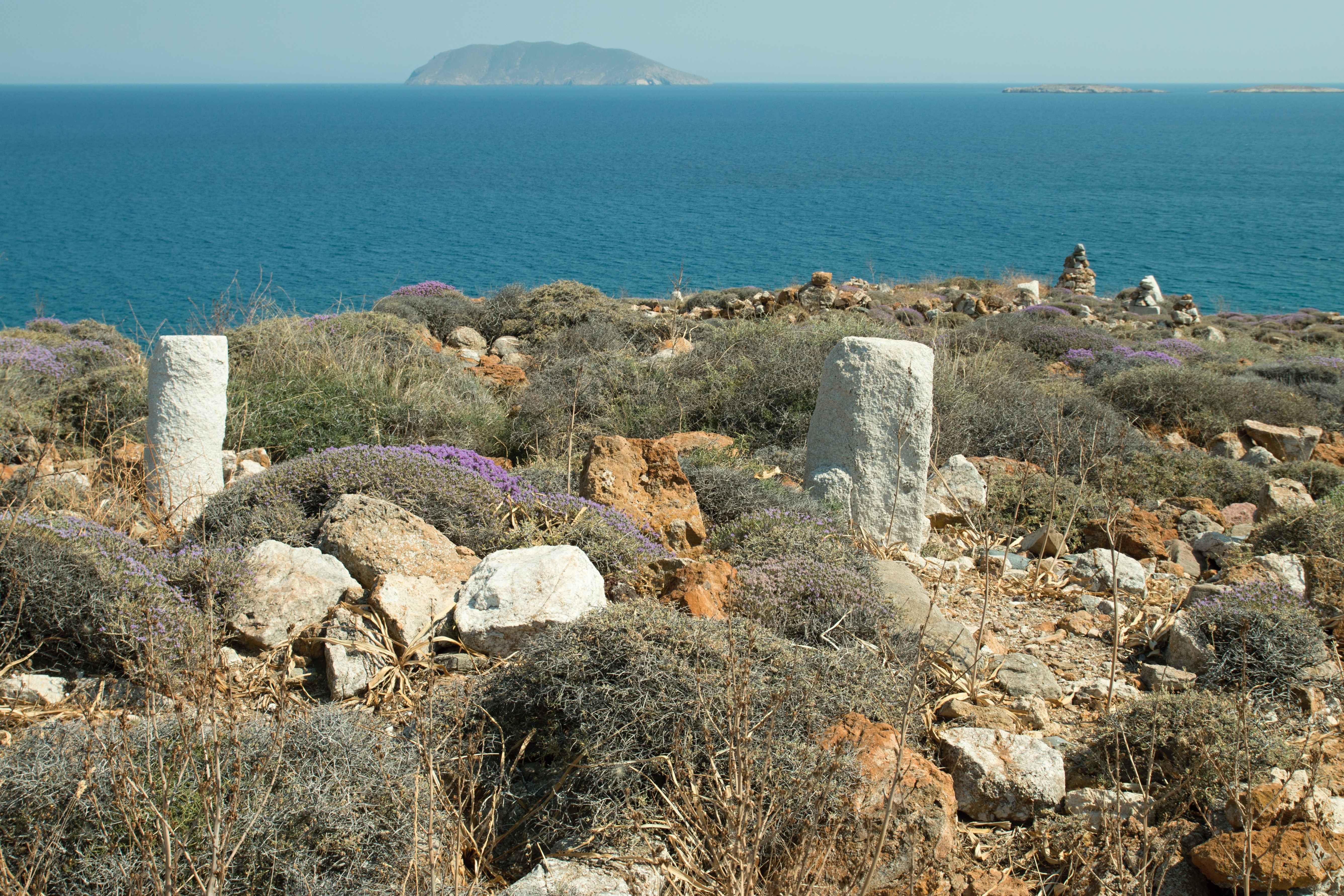 Why It Matters (Image Credits: Wikimedia)