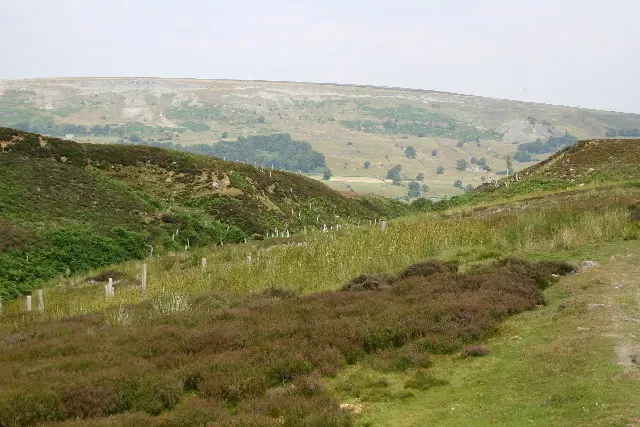 The Future Landscape: Learning from Deep-Time Experiments (Image Credits: Wikimedia)