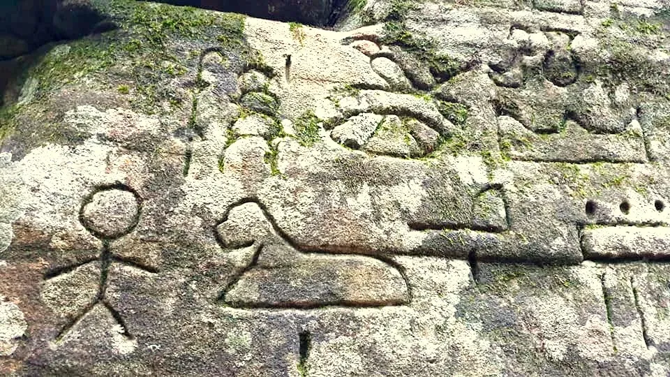 Gosford Glyphs And The Problem With Outdoor “Discoveries” (By Zroota, CC BY-SA 4.0)