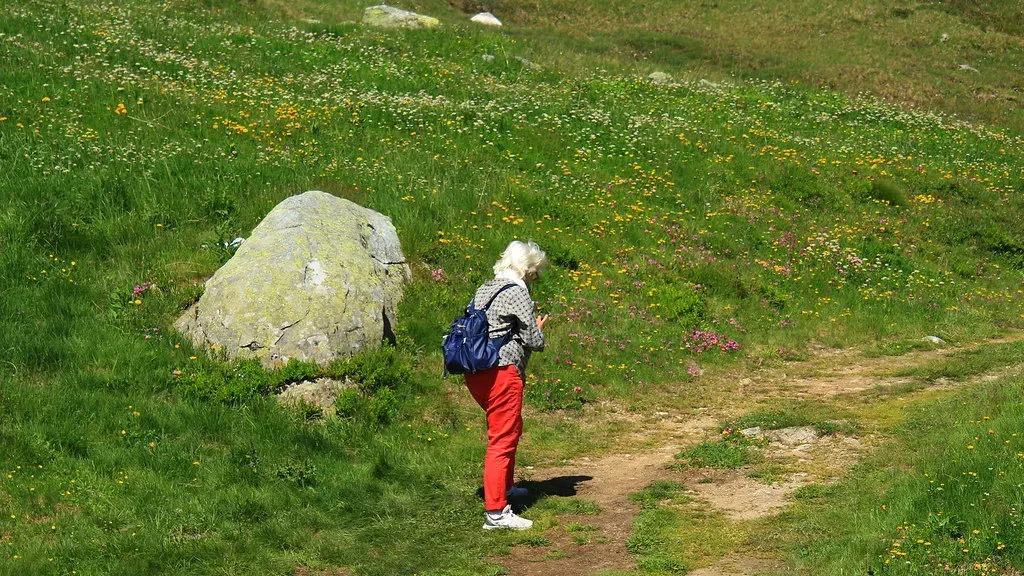 Nature as a Subtle Safety Signal, Not a Magical Cure (Image Credits: Flickr)