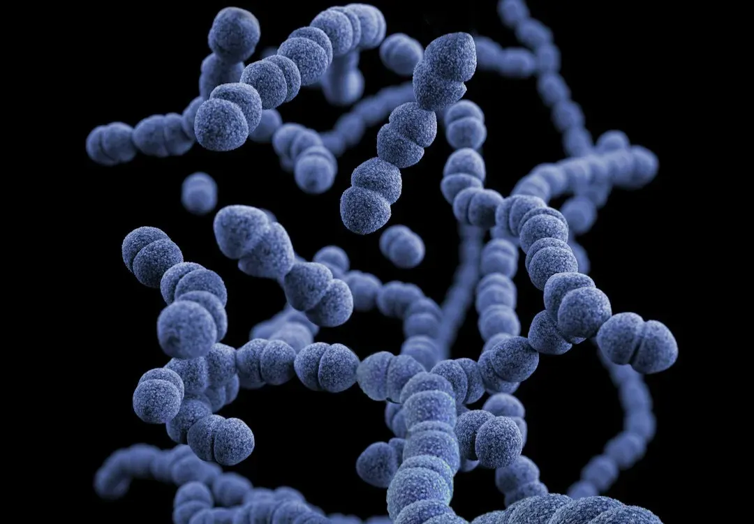 Microbes Inside Us: The Human Microbiome (Image Credits: Unsplash)