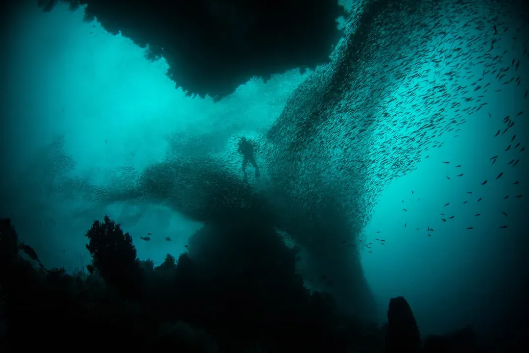 7. The Ocean’s Deep Sounds: Unidentified Rumblings from Below (Image Credits: Unsplash)