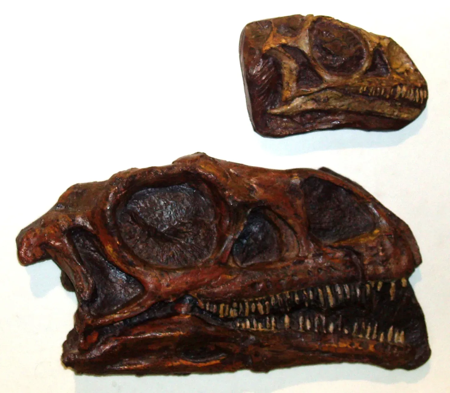 2. A South African dinosaur mistaken for a common cousin (By Ghedoghedo, CC BY-SA 3.0)