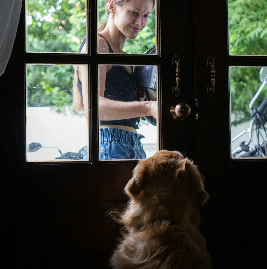 Routine Departures Feel Predictable, Even If Your Dog Still Hates Them (Image Credits: Unsplash)