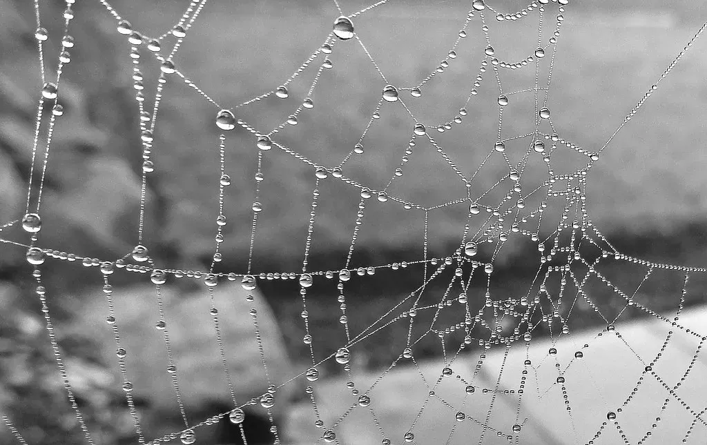 Engineering Marvels Above Water (Image Credits: Flickr)