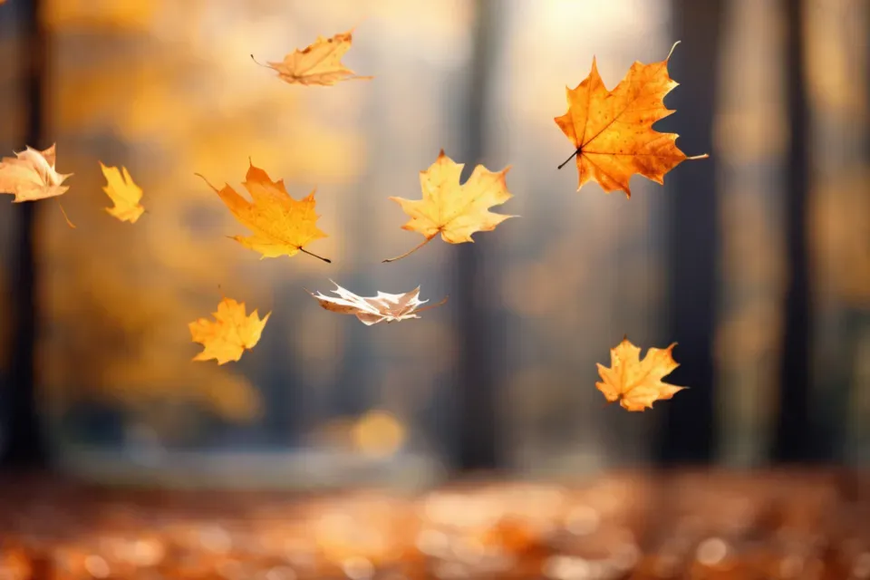 9. The Wind Changes Its Personality and Brings New Smells (Image Credits: Stocksnap)