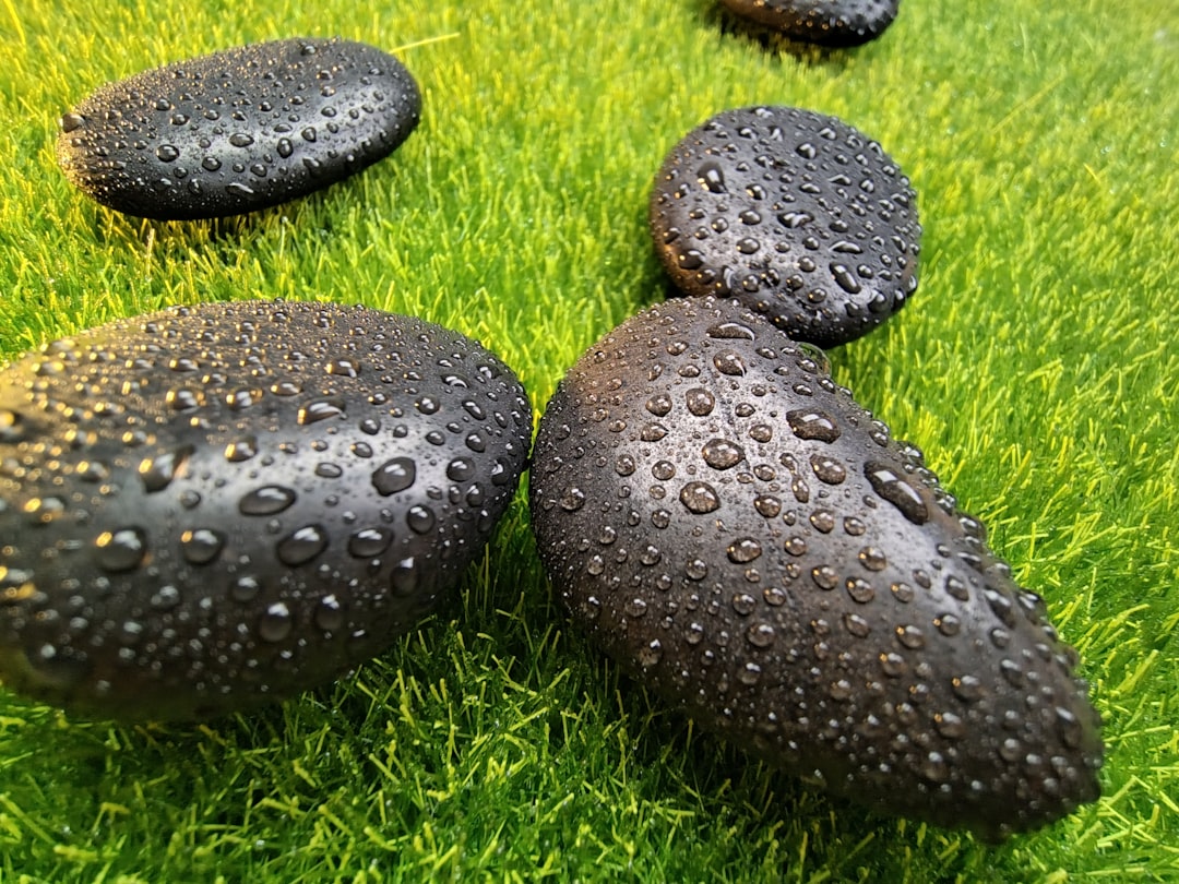 The Science Behind Armored Mud Balls (Image Credits: Unsplash)