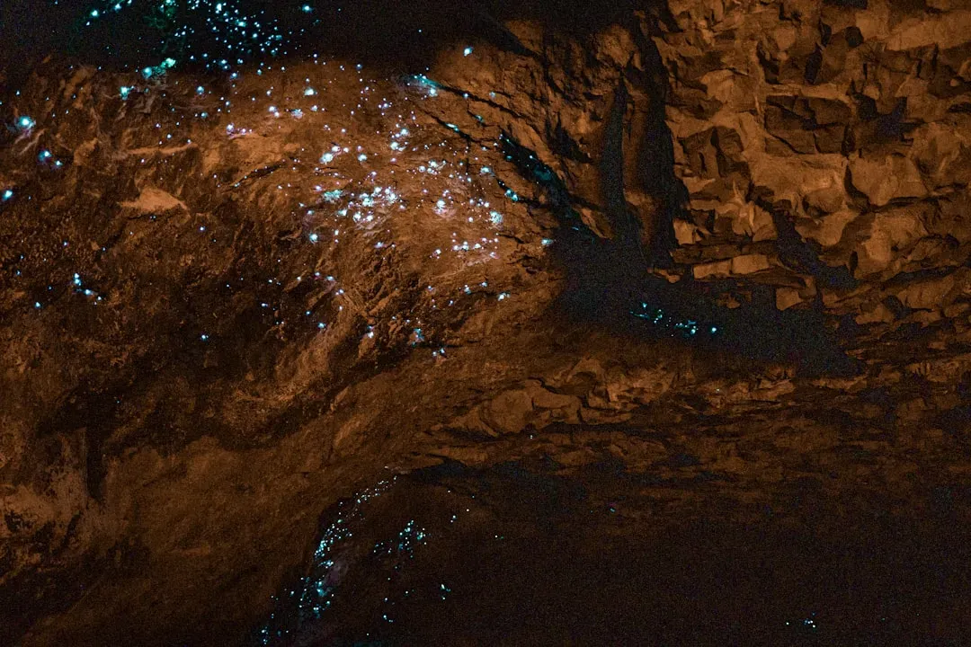 3. Waitomo Glowworm Caves, New Zealand – A Starry Sky Underground (Image Credits: Unsplash)