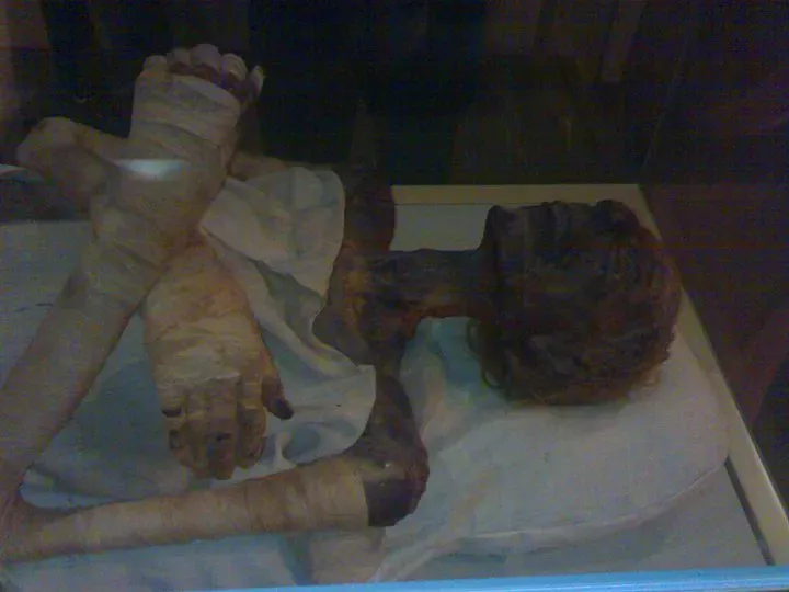 #3 The Tomb of Ramses II: An Aging Pharaoh on the Move (By Moody867, CC BY-SA 3.0)
