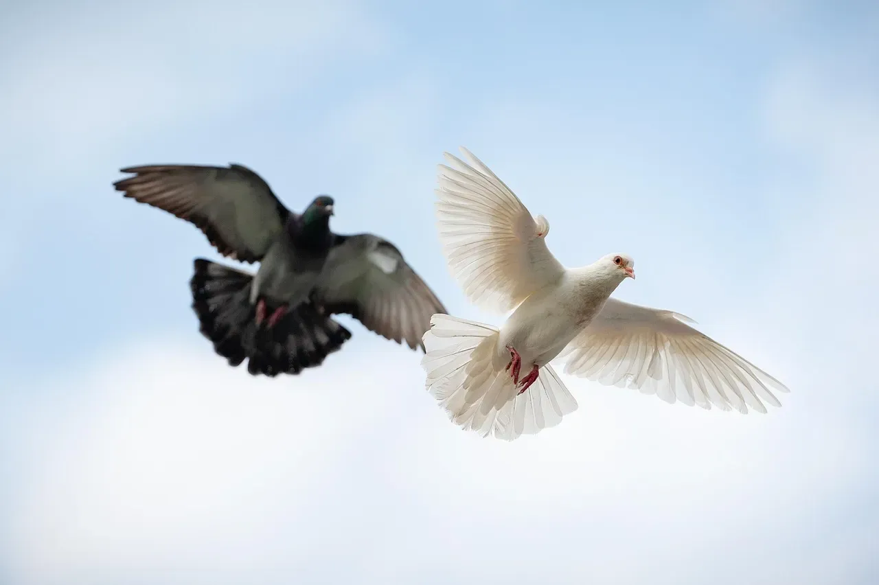 2. They Fly Like Tiny Missiles, Not Gentle Floaters (Image Credits: Pixabay)