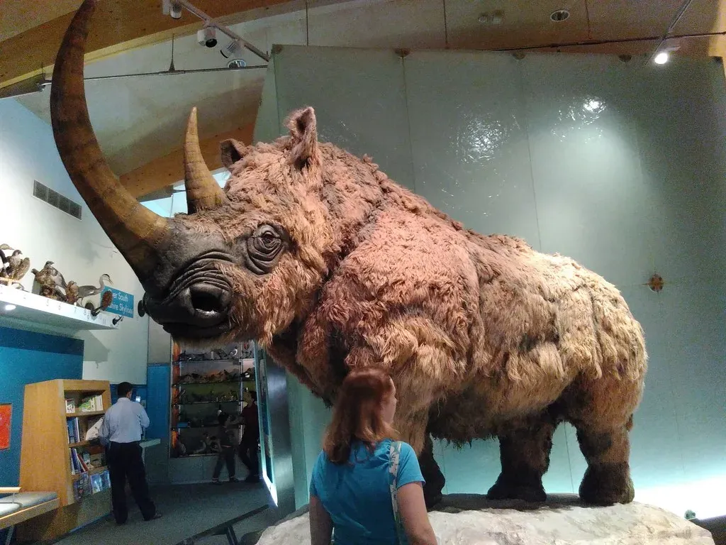 #2 The Doubtful Rhinoceros of the North (janetmck, Flickr, CC BY 2.0)