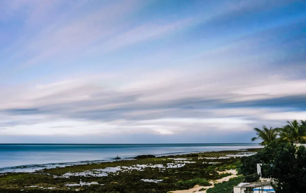 Downstream at Last: Into the Coastal Zone and the Open Ocean (Image Credits: Unsplash)