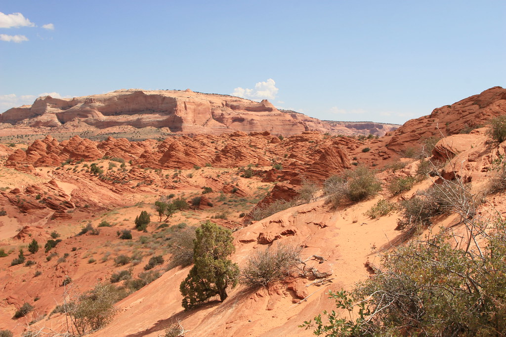 The Great Transformation: From Sea to Desert (Image Credits: Flickr)