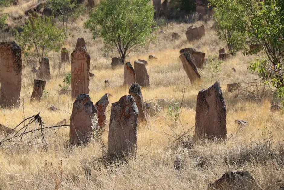 #6 Forgotten Cemeteries and Burial Grounds in Shrinking Lakes (Image Credits: Pexels)
