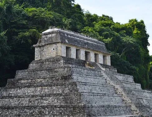 Conclusion: A Bigger, Stranger, Richer Past Than We’re Told (Image Credits: Pexels)